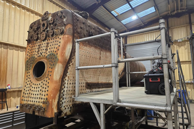 Great To See This MiniBeast Curve Out In its Natural Environment